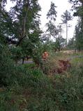 23. 26.07. Úklid stromu pod Borovičkou