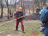 01. 14.02. Prořez stromů u potoka